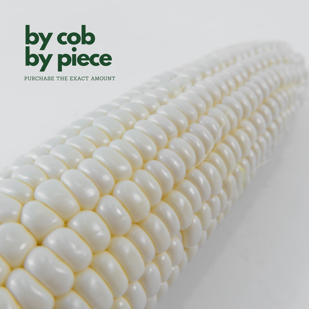 Peeled white sweet corn cob showing pearl white kernels close up