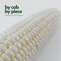 Peeled white sweet corn cob showing pearl white kernels close up