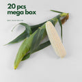 White sweet corn cobs sold per piece fresh from farm