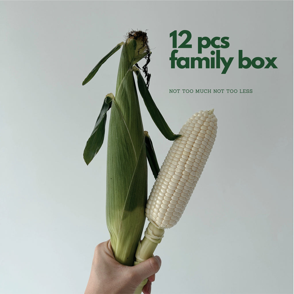 Hand holding one fresh jagung putih cob showing size