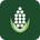 Mutiara Corn Co. - Home